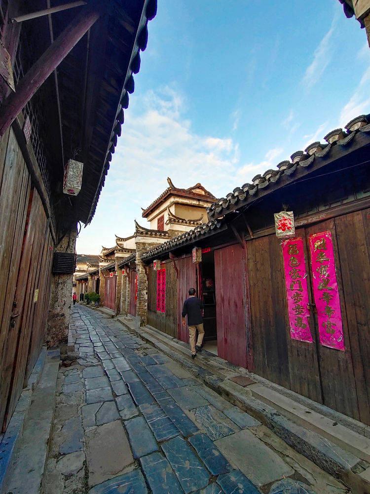 拯救小松鼠